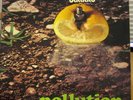 BATTIATO - Pollution LP Italy Gatefold Prog Psych Orig