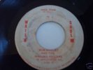 WAIL'N SOUL:BOB MARLEY & THE WAILERS:NICE(DESCR/listen)