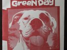 GREEN DAY SLAPPY 7