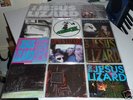 Jesus Lizard Inch 7
