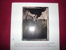 lp - pixies - surfer rosa