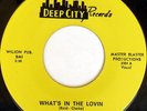 rare Soul 45 HELENE SMITH what's in the lovin DEEP CITY