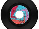 DETROIT COLLECTORS - RONNIE TAYLOR - REVILOT 212 DJ ?
