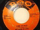 NORTHERN 45-BROTHERS OF SOUL-COME ON BACK /THE LOVE I F