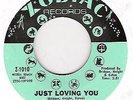 Ruby Andrews-Just Loving You VG++ Northern Soul Listen