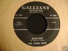 Rare 50s Rockabilly 45 Record The James Boys - Galliant