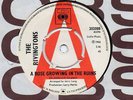 THE RIVINGTONS-A ROSE GROWING IN THE RUINS-C.B.S. DEMO