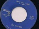 THE PASTELS NW Garage 45 RPM 7