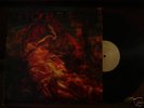 NO COMMENT - Discography LP neanderthal despise you