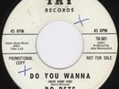 Blue Eyed Mod Soul 45-Bo-Pete-Do You Wanna-Hear 