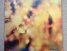 STEAMHAMMER Reflection LP UK Debut CBS A1/B1 Mono