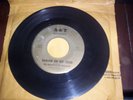 SOUTHERN SOUL UNDERGROUND RAILROAD HARLEM ON MY MIND 45