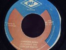 African Youth Forward Down a Channel One JA 45 Listen