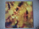 STEAMHAMMER : REFLECTION (CBS63611) RARE PROG/BLUES