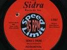 HEAR IT Ronnie & Robyn – Sidra’s theme – NORTHERN