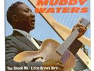 MUDDY WATERS - Muddy Waters / UK Pye Int. P/S EP