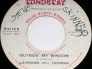 private TX garage PSYCH folk 45/LAVENDER HILL EXPRESS/?