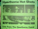 SUPER RARE Orig Hawthorne Hot Shots TMOQ BEACH BOYS dbl