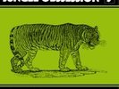 JUNGLE OBSESSION RARE FRENCH JAZZ LIBRARY LP NARDINI ?
