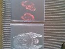 DEATHSPELL OMEGA - Kenose LP Watain Merrimack Marduk