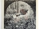 SEARCH PARTY Montgomery Chapel OG Psych Grail RARE mp3