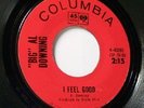 Soul 45 * Big Al Downing * I feel good/Ga. slop * Vg+