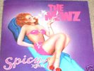 THE NEWZ Spicy Stories LP PRIVATE ND ROCK AOR RARE hear