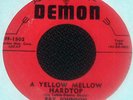 ROCKIN' ROCKER 45  Ray Johnson   L K  LISTEN