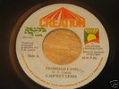 7 INCH PROMISED LAND - GADFREY LEWIS,LISTEN