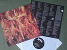 Immolation Close to a World Below  LP Near Mint RARE