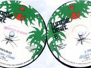Freddy Clarke & I Roy - Troubles + I Man (Jungle Beat)