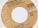 MODERN SOUL - WELDON IRVINE - I LOVE YOU on 45