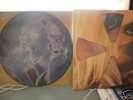 MADONNA: 2 PICTURE DISCS - shipping less in OZ