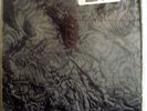 FELT-IGNITE THE SEVEN CANNONS LP-MINT