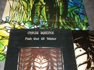 CHRIS SQUIRE - FISH OUT OF WATER LP+POSTER EXC YES PROG