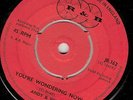 SKA R&B YOU'RE WONDERING NOW - ANDY & JOEY -  SPECIALS