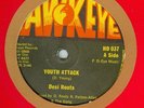 DESI ROOTS - YOUTH ATTACK - ORIG HAWKEYE 12