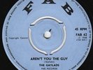 Gaylads - Aren't You The Guy - BRILLIANT ???