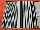 DEAD C Harsh Seventies Reality SILTBREEZE ORIG Gate
