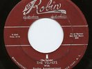 The Velvets 45 Red Robin 122 Doo-Wop I b/w At Last HEAR