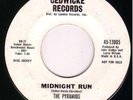 Surf Inst / Vocal 45 - PYRAMIDS -Midnight Run (USHER)