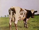 PINK FLOYD 'ATOM HEART MOTHER' ORIGINAL QUADROPHONIC LP