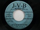 THE GALES SCARCE DETROIT DOO WOP R&B 45 J-V-B JVB HEAR