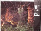 GRAVE -Into the grave LP 1991 RARE sinister carnage