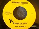 1966 NJ GARAGE--ASCOTS--WHERE I'M GOIN'--NORMANDY 104