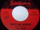 THE TRIPS US SOULTOWN 45 THERES THAT MOUNTAIN. LISTEN