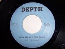 DEPTH I CAN SEE IN YOUR BRAIN HARD ROCK/PSYCH 45 LISTEN