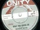 REGGAE BOYS - WHAT YOU GONNA DO -ORG UNITY 7