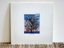 TALK TALK - Spirit Of Eden - LP