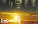 Cardigans - Gran Turismo Vinyl/LP Sehr guter Zustand